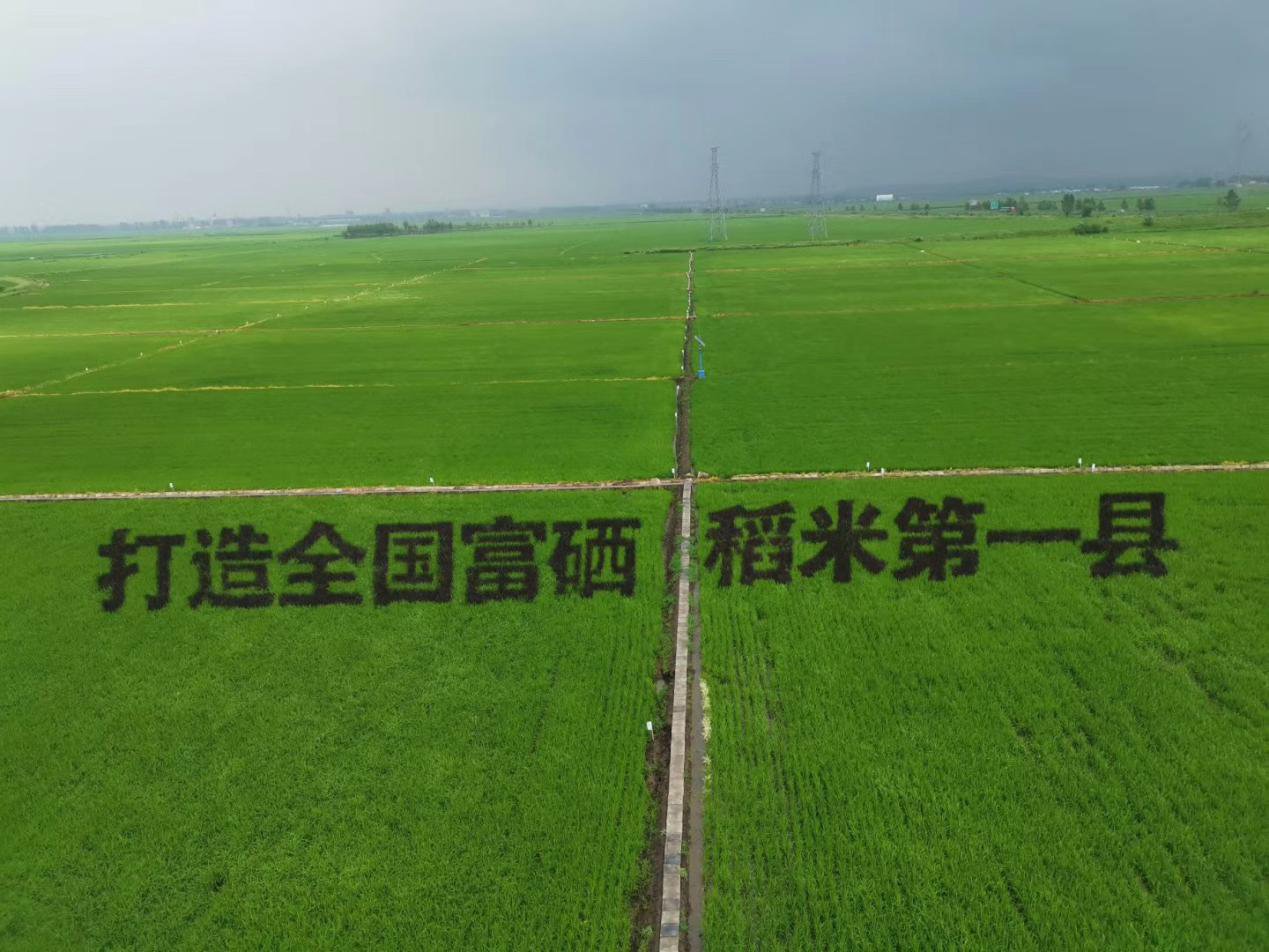 1576650125468973.png 圖片6.png