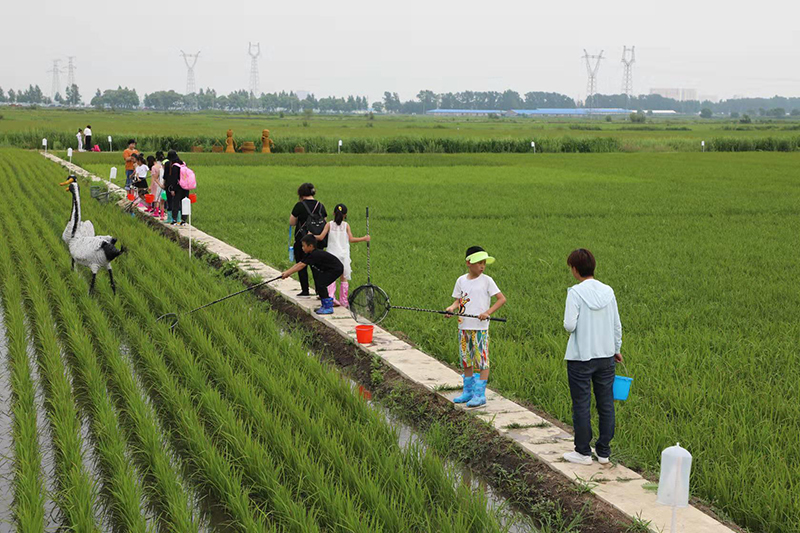 1576650992708126.jpg 2.jpg