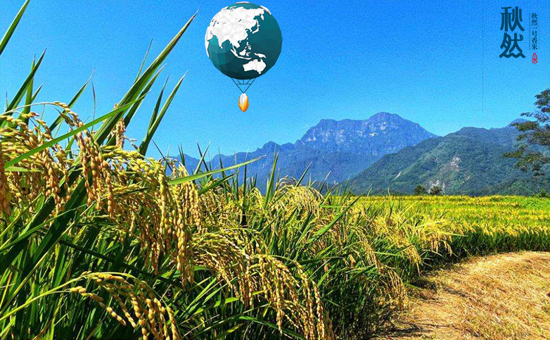 1646104830299354.png 模板-恢復的.png