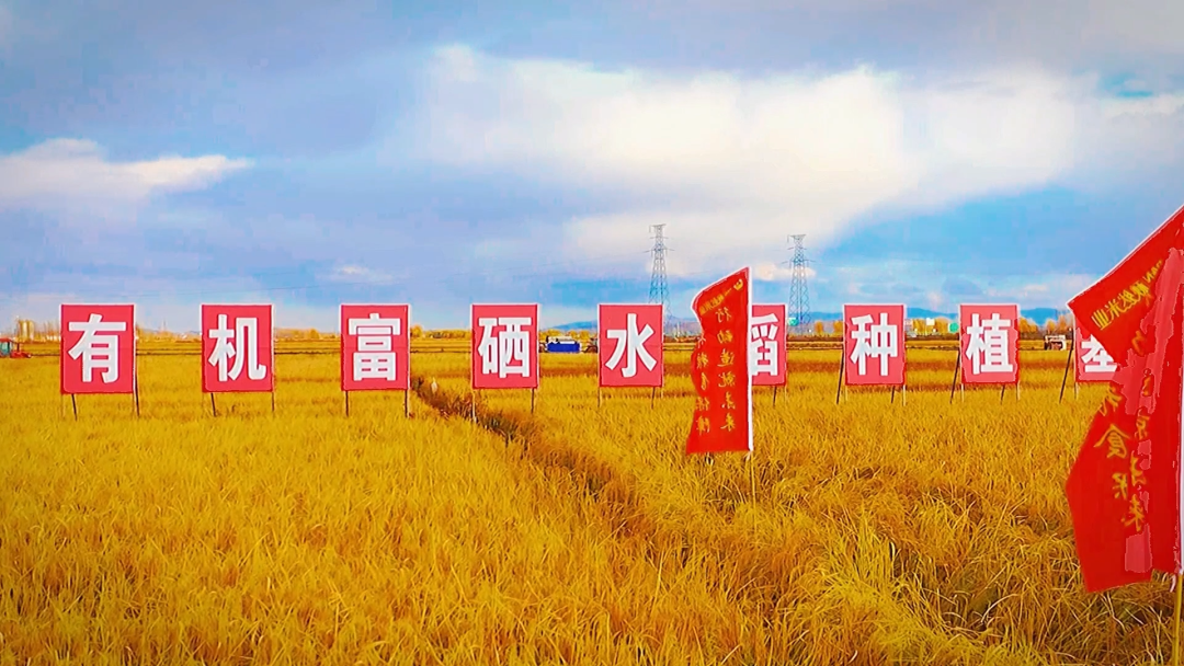 1646123878637475.png 640 (1).png