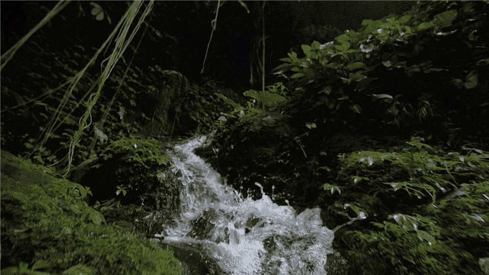 1652084147747576.png 1.png