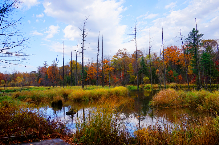 1652084326171740.png 2.png