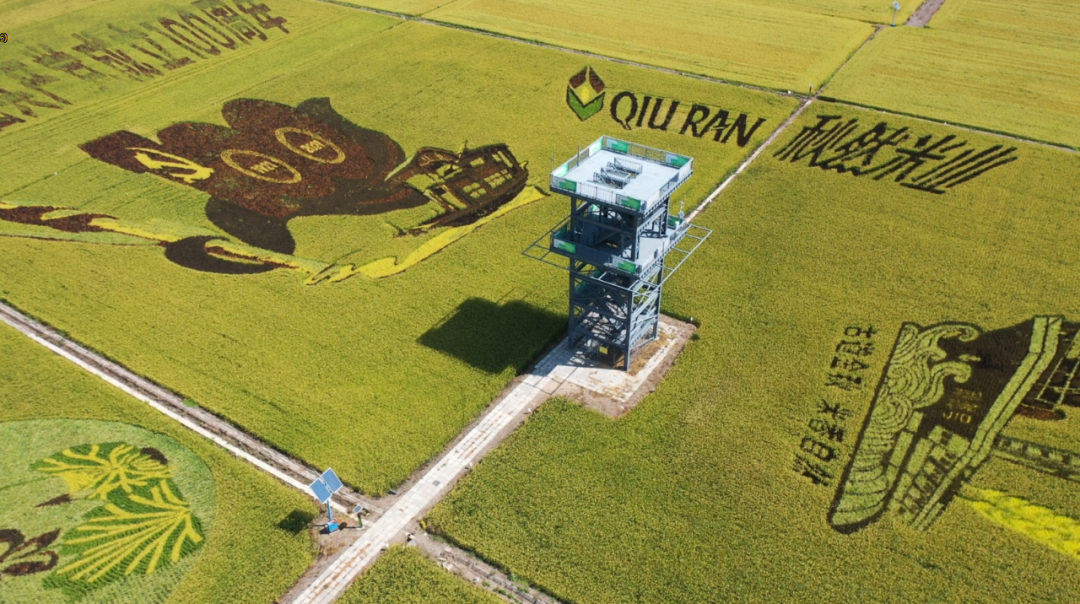 1652084596168346.png 640 (1).png