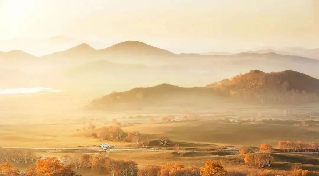 1652084668841081.jpg 640.jpg