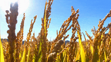 1652086686803289.gif 640 (2).gif