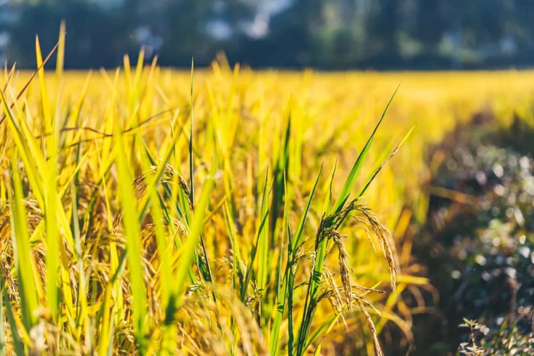 1652086783677542.jpg 640 (5).jpg