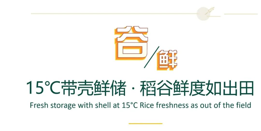 1652086809983422.jpg 640 (6).jpg