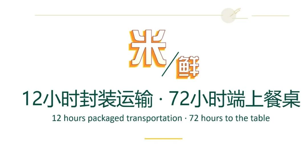 1652087066837727.jpg 640 (9).jpg