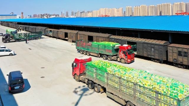 1652147632125606.jpg 641.webp (1).jpg