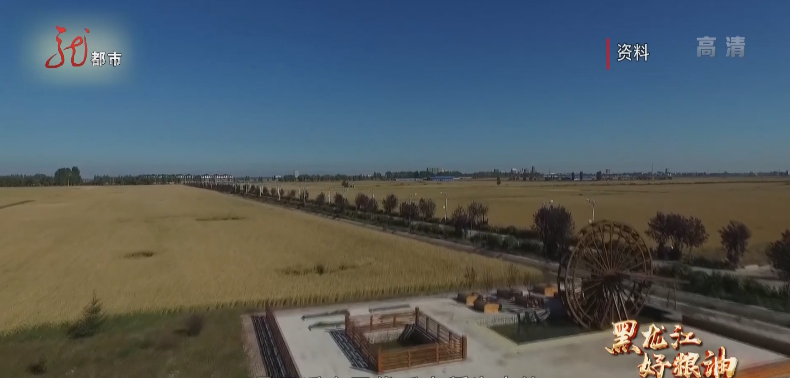 1653959521506998.png 4.png