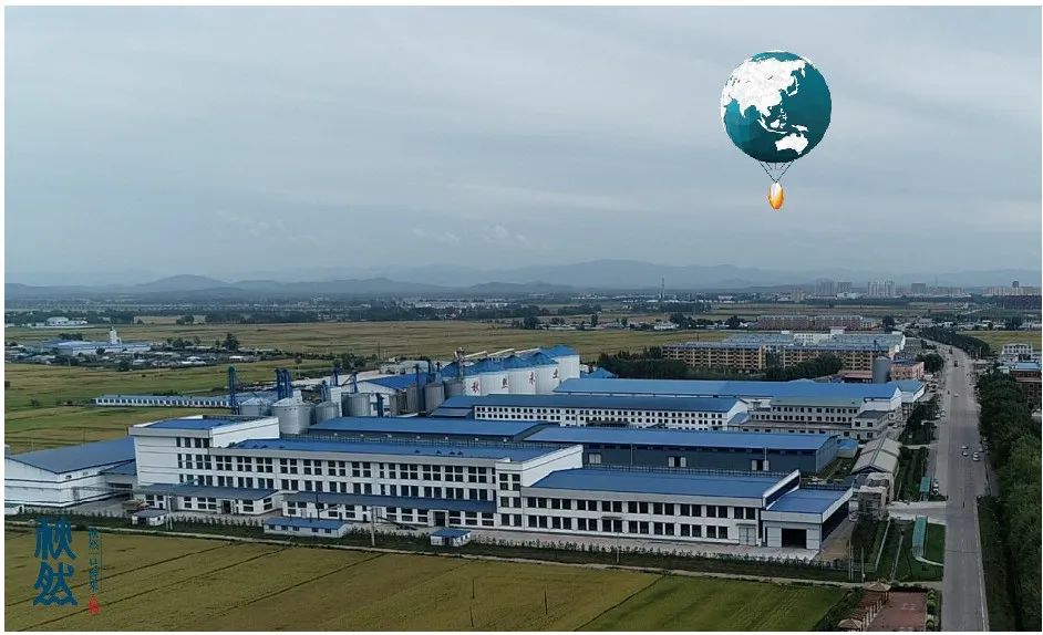 1653961865684685.jpg 640 (4).jpg