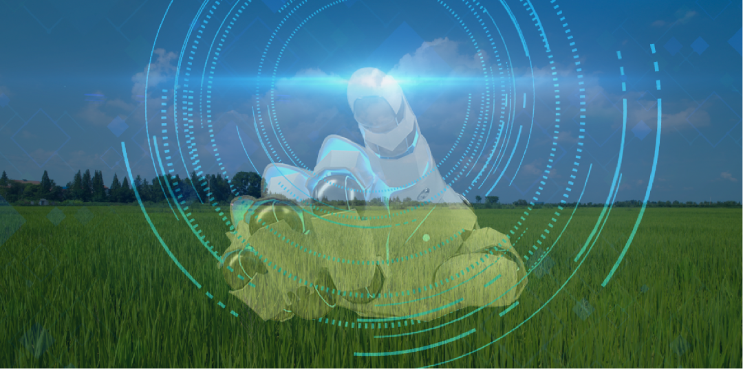 1665197304365202.png 3.png