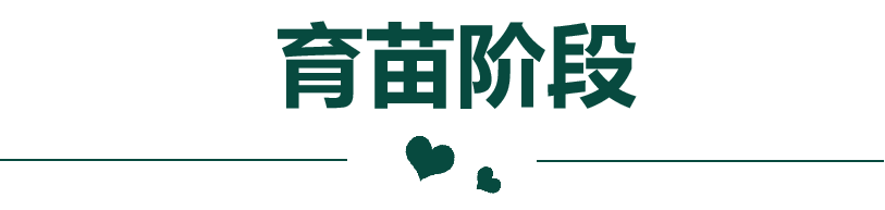 1665197317965792.png 4.png