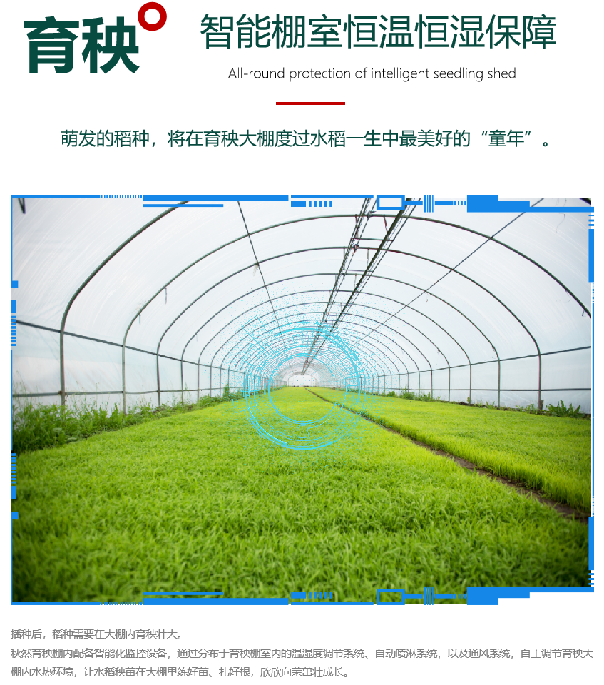 1665197404661973.png 7.png