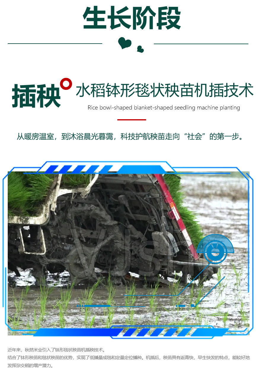 1665197414284524.png 8.png