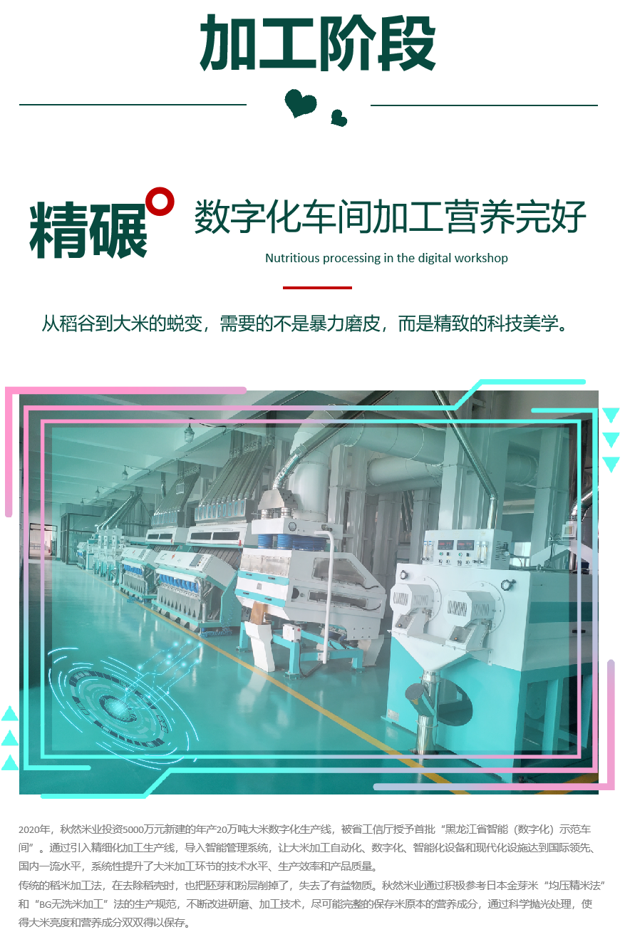 1665197482269829.png 13.png