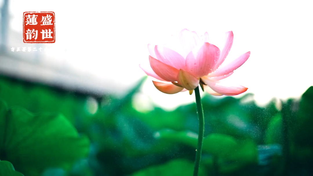 1668750221940004.png 微信圖片_20221118134030.png