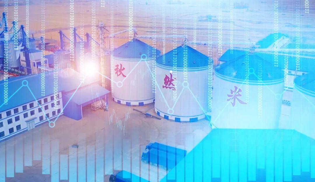 1685602478182646.jpg 640 (3).jpg