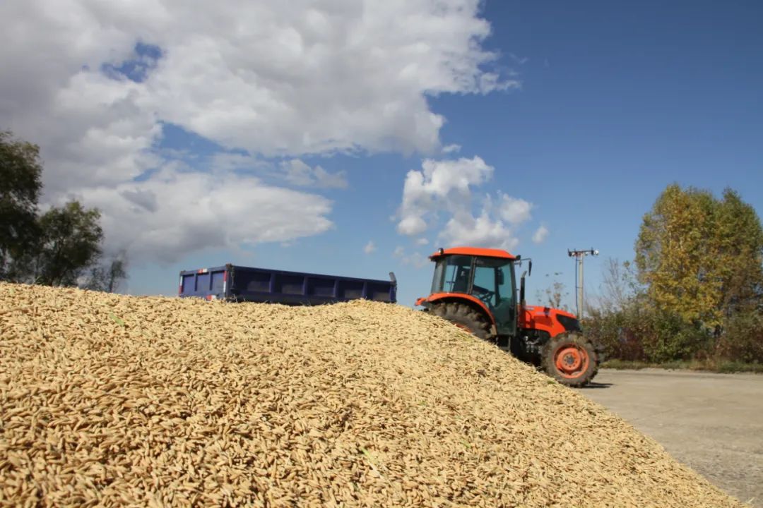 1685605474825963.jpg 640 (5).jpg