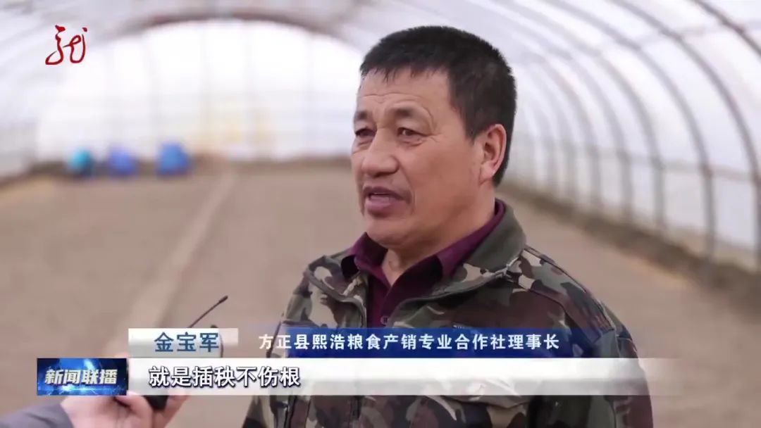 1685605767139112.jpg 640 (2).jpg