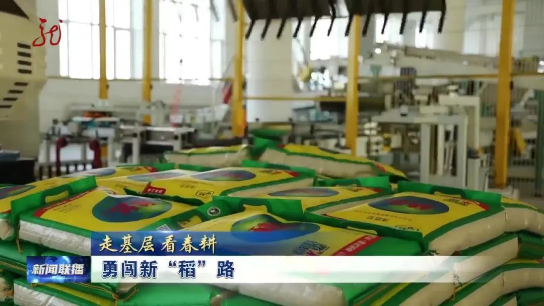 1685605810907036.jpg 640 (6).jpg