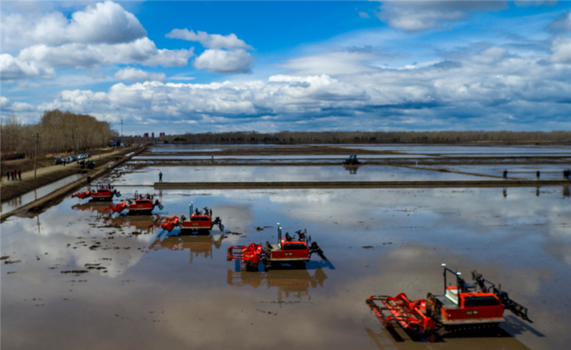 1685607417285081.png 640 (1).png