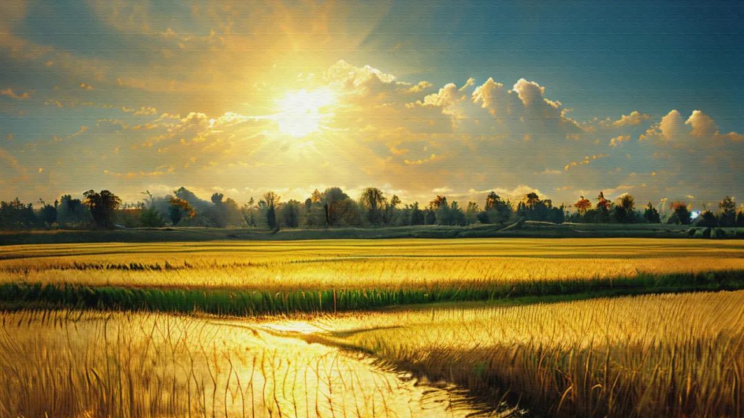 1705108744680185.jpg 640.jpg