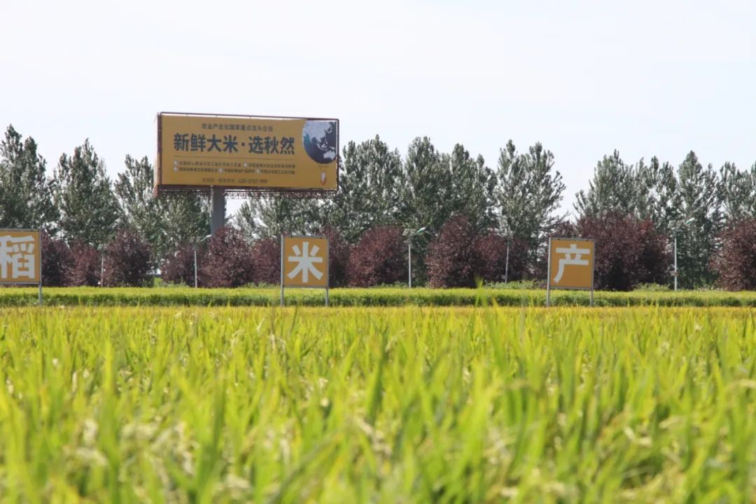 1705108926877580.jpg 640 (9).jpg