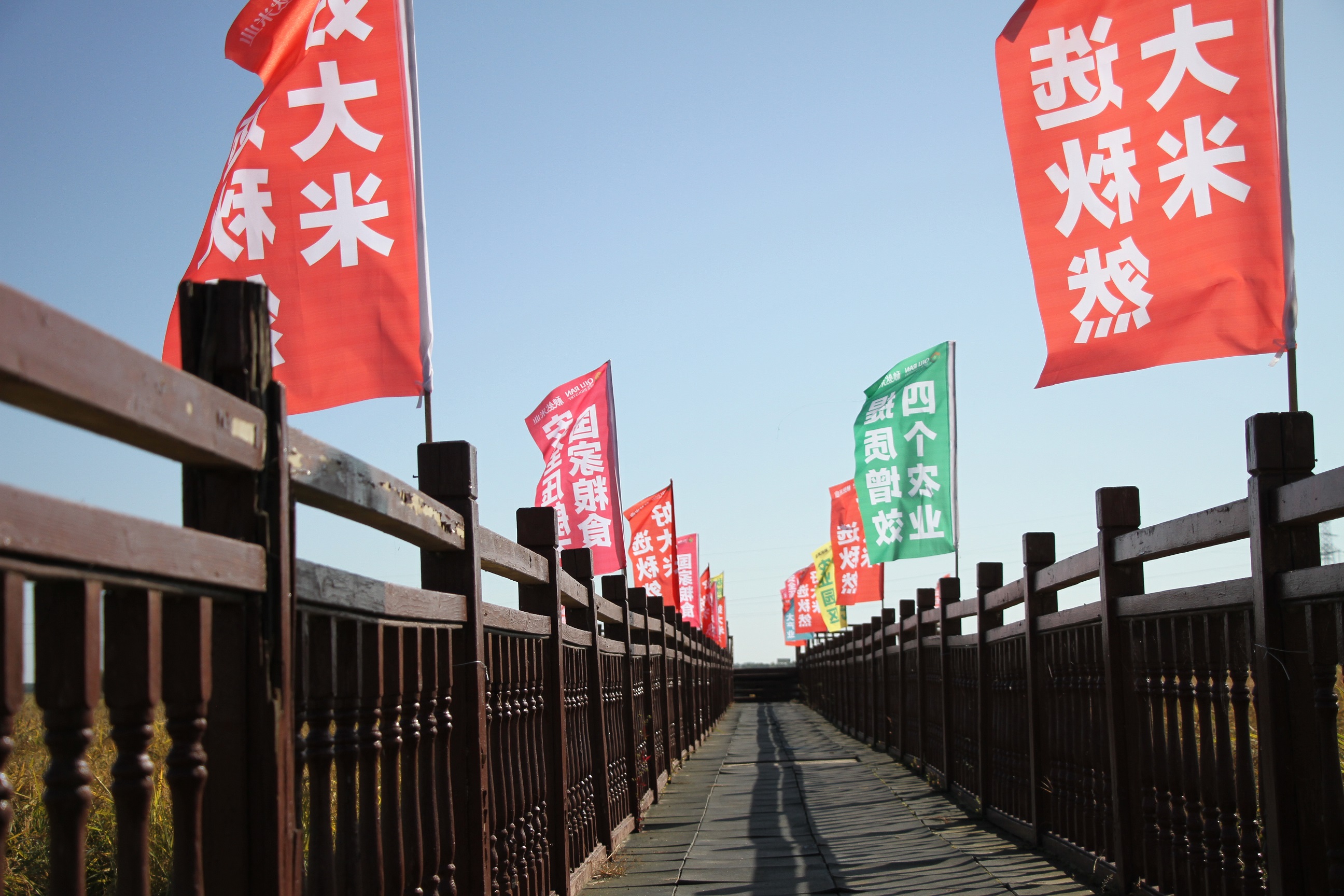 1705114159221284.jpg IMG_0029 - 副本.JPG